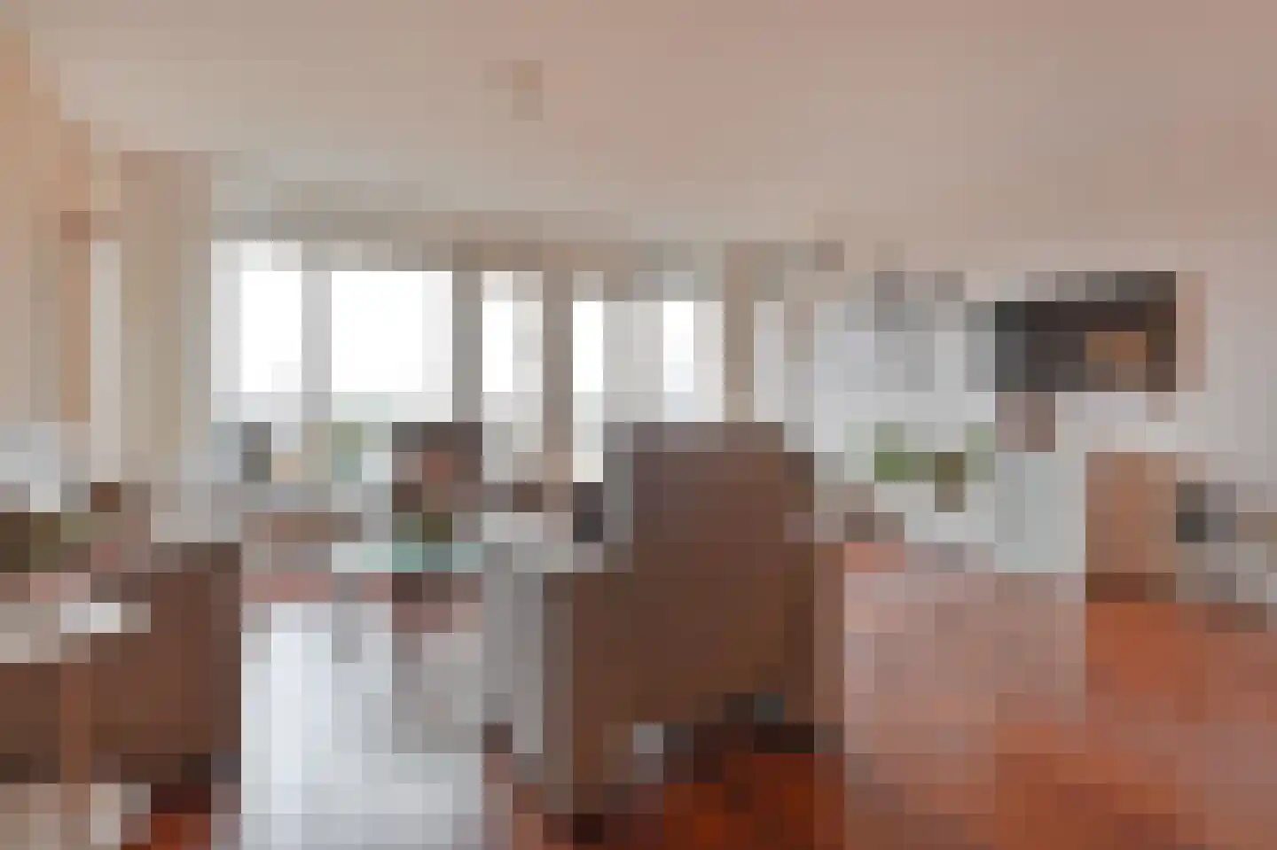 Adigestroom 62 Zoetermeer thumbnail 13