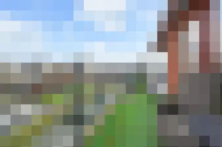 Adigestroom 62 Zoetermeer thumbnail 18