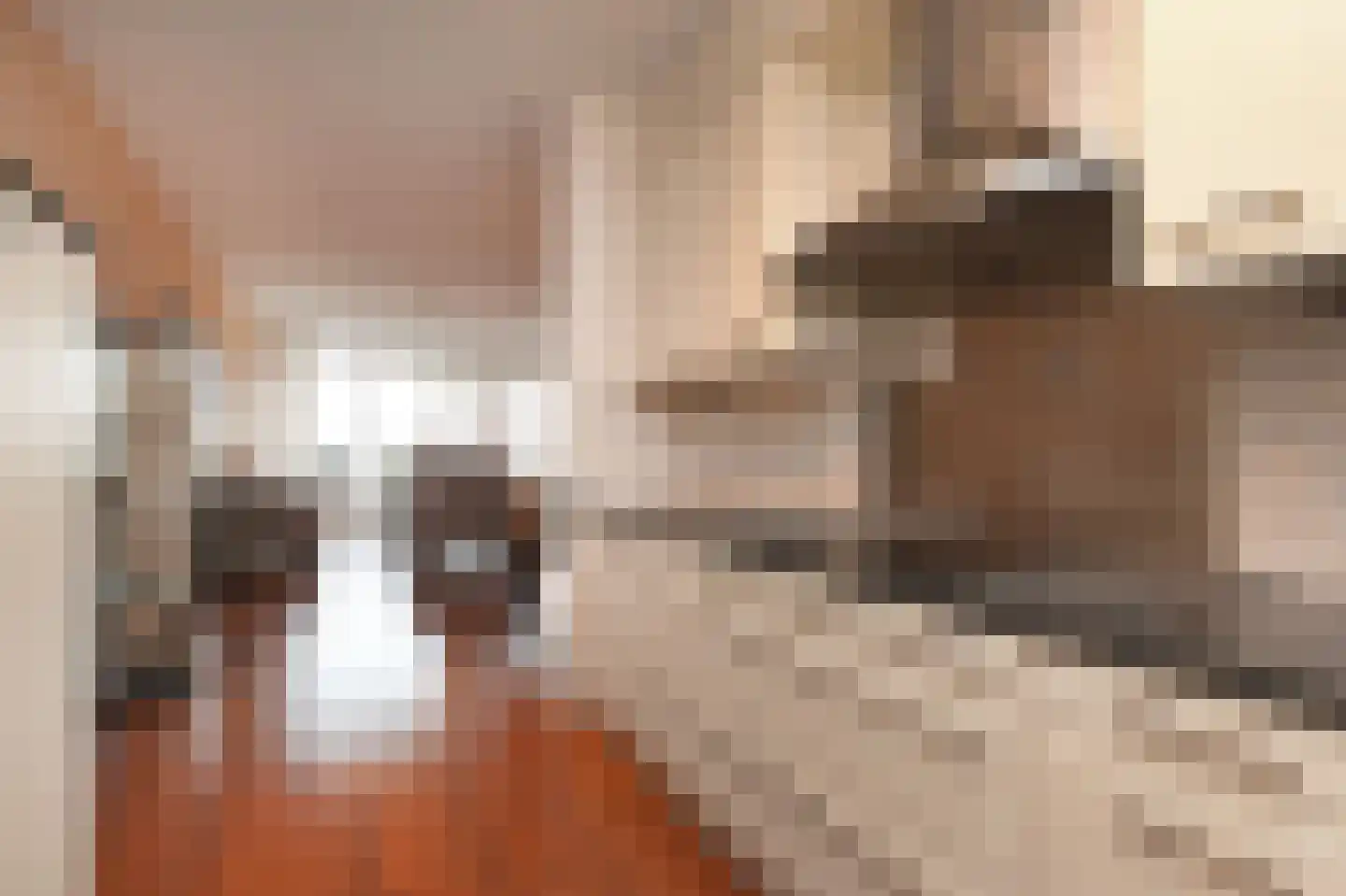 Adigestroom 62 Zoetermeer thumbnail 24