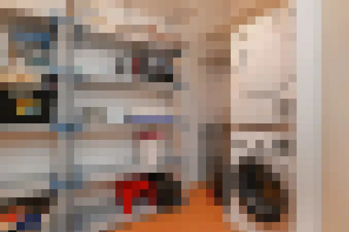 Adigestroom 62 Zoetermeer thumbnail 25