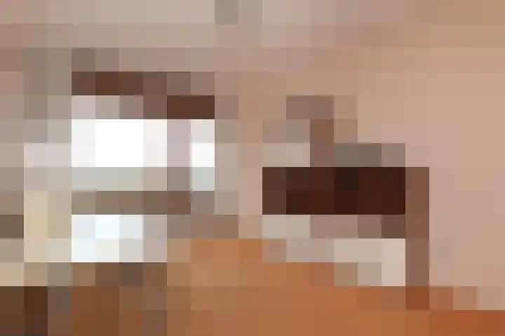 Adigestroom 62 Zoetermeer thumbnail 31