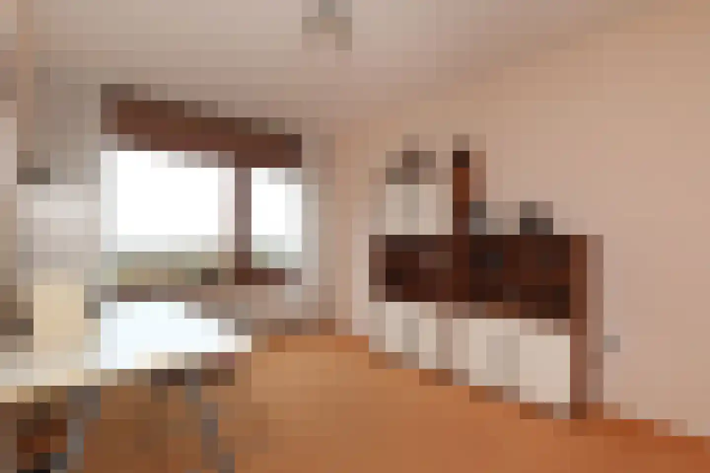 Adigestroom 62 Zoetermeer thumbnail 31