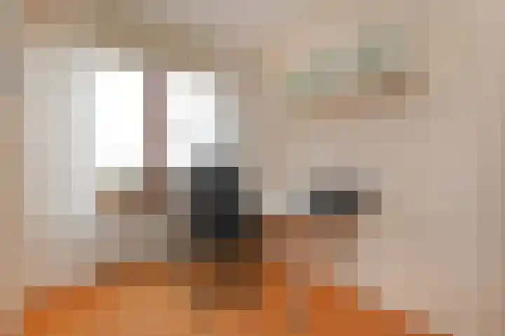 Adigestroom 62 Zoetermeer thumbnail 33