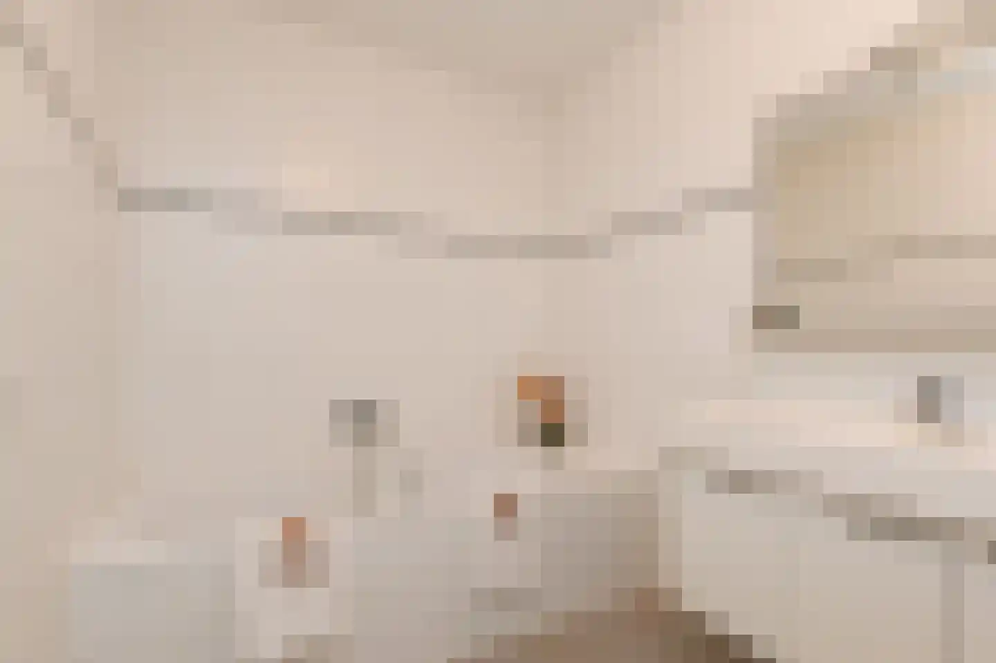 Adigestroom 62 Zoetermeer thumbnail 35