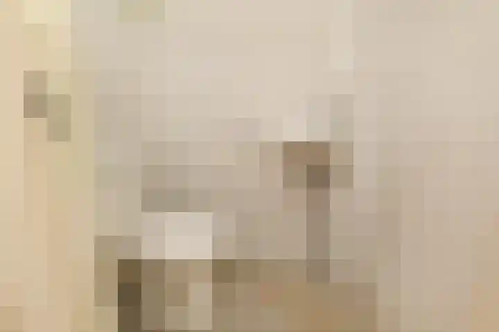 Adigestroom 62 Zoetermeer thumbnail 36