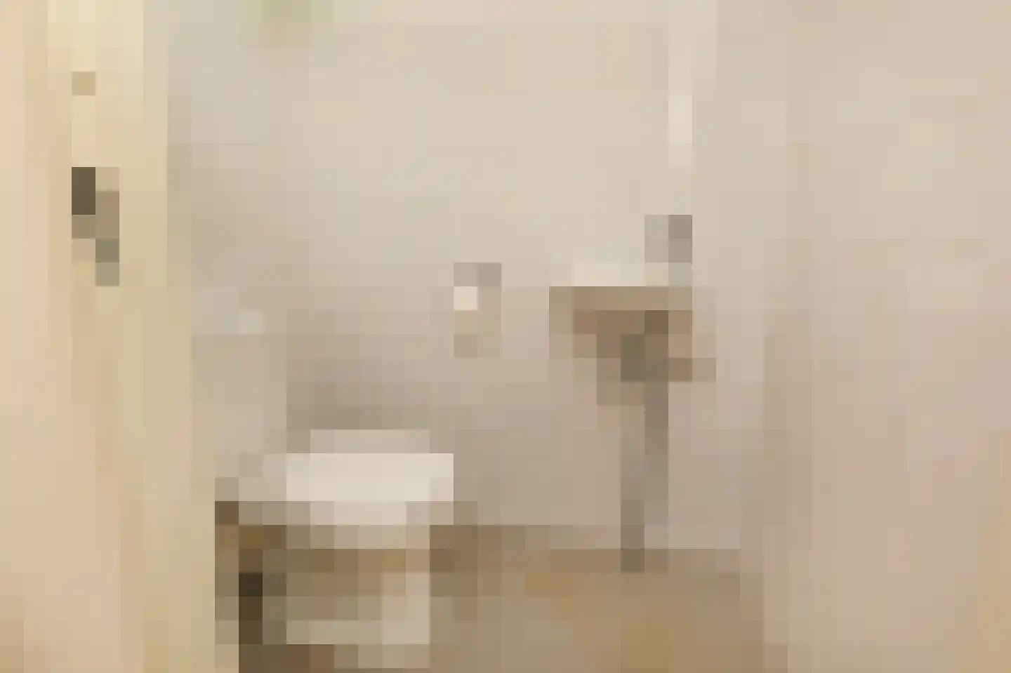 Adigestroom 62 Zoetermeer thumbnail 36