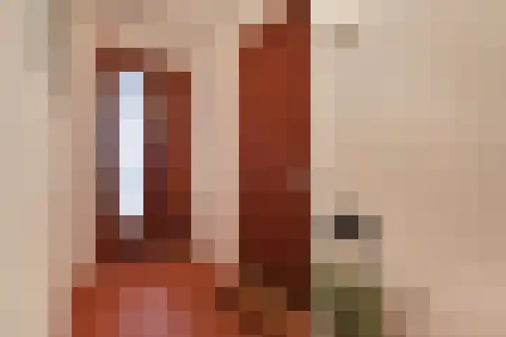 Adigestroom 62 Zoetermeer thumbnail 8