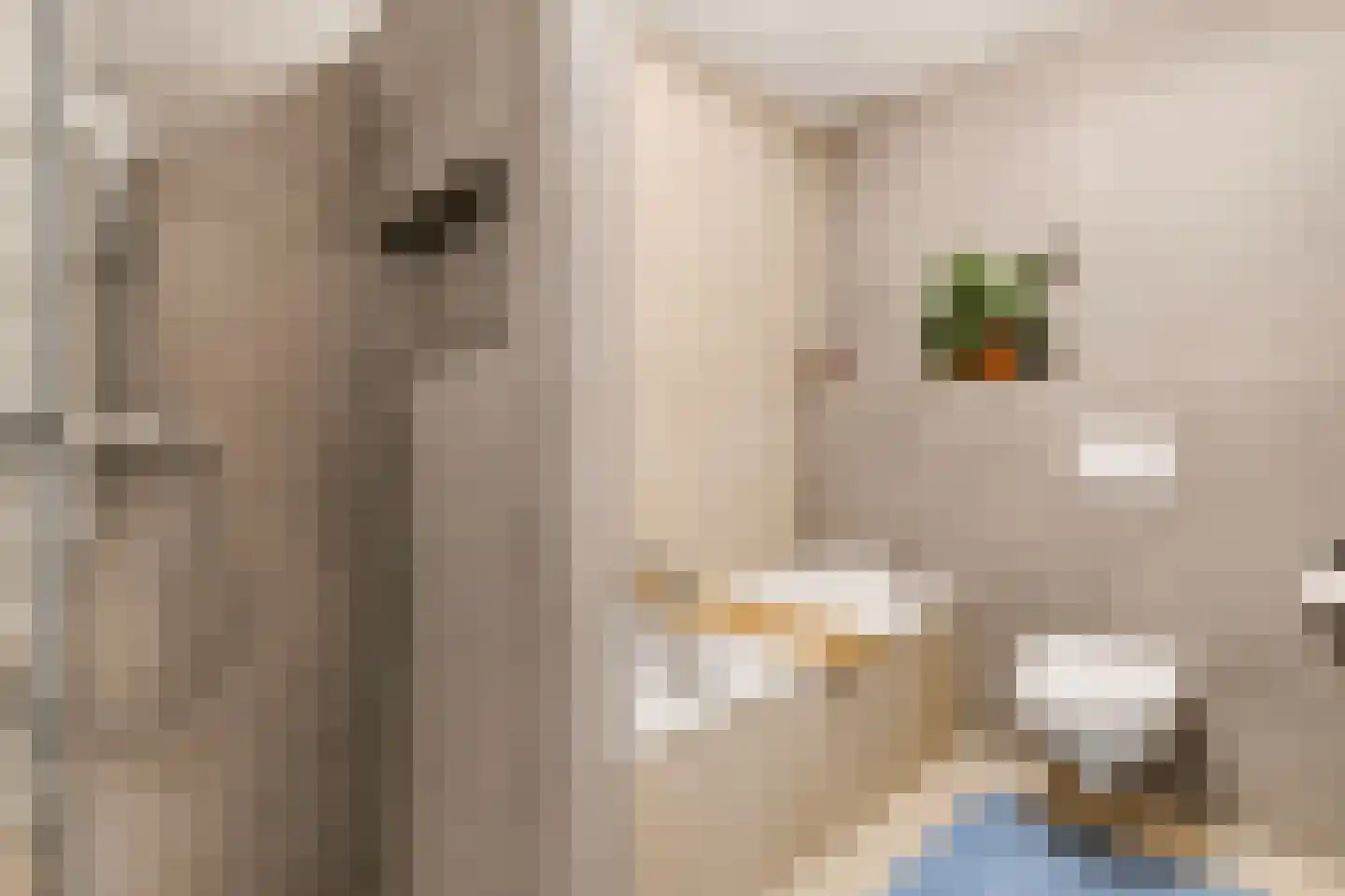 Adikade 6 Utrecht thumbnail 14