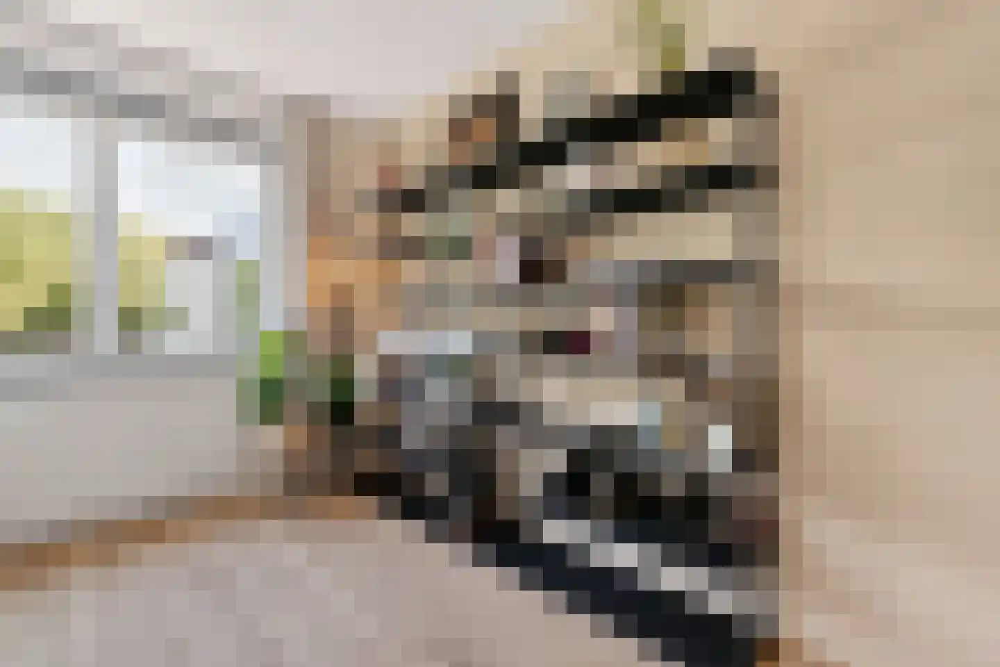 Adikade 6 Utrecht thumbnail 29
