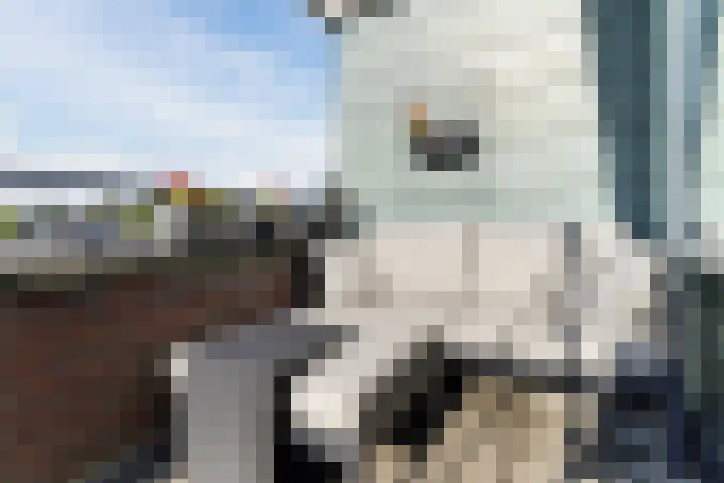 Adikade 6 Utrecht thumbnail 39
