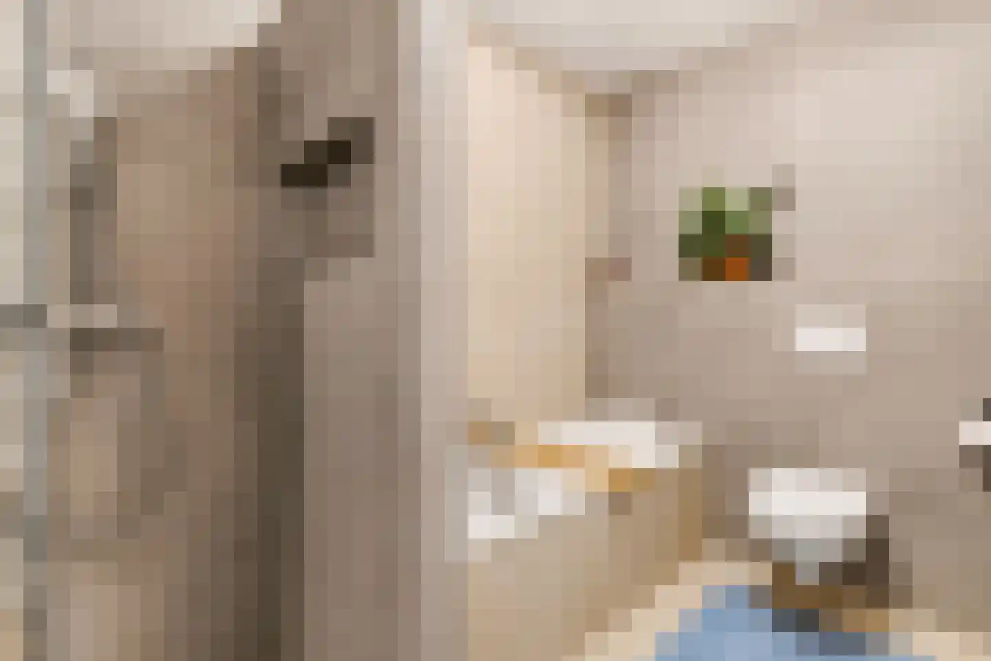 Adikade 6 Utrecht thumbnail 5