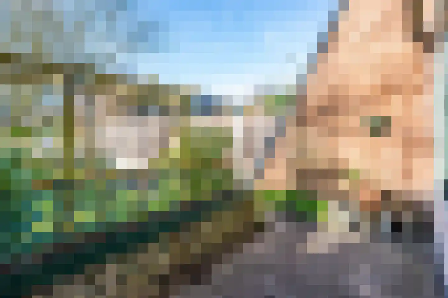 Adingmoor 2 Nieuw-Vennep thumbnail 18