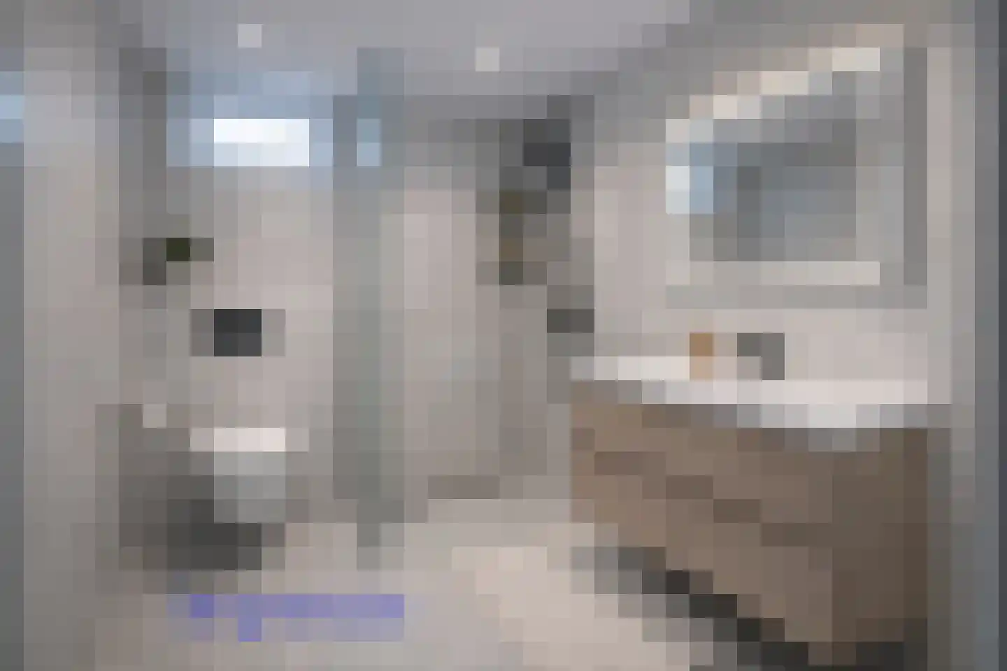 Adingmoor 2 Nieuw-Vennep thumbnail 26
