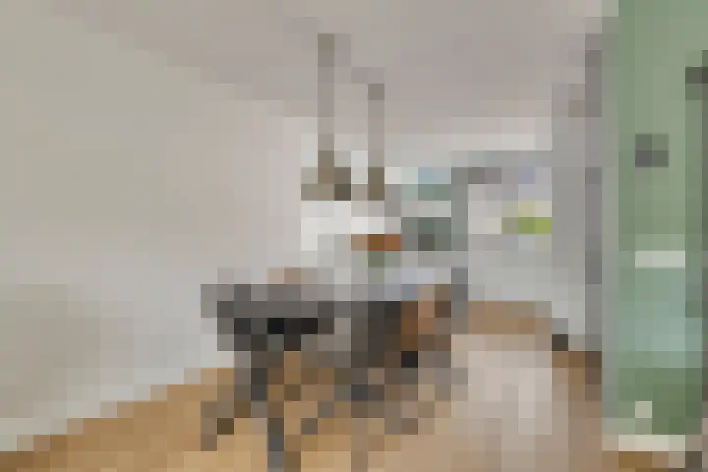 Adingmoor 8 Nieuw-Vennep thumbnail 10