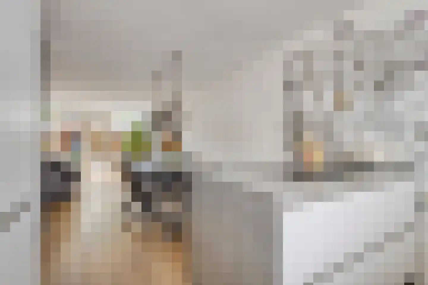 Adingmoor 8 Nieuw-Vennep thumbnail 13
