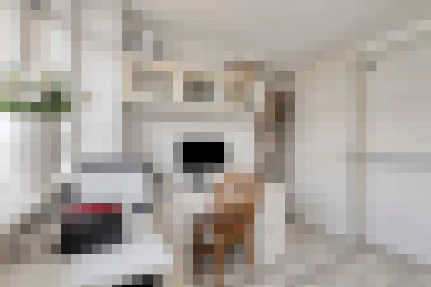 Adingmoor 8 Nieuw-Vennep thumbnail 30