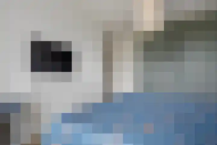Adjudant 10 Gorinchem thumbnail 19