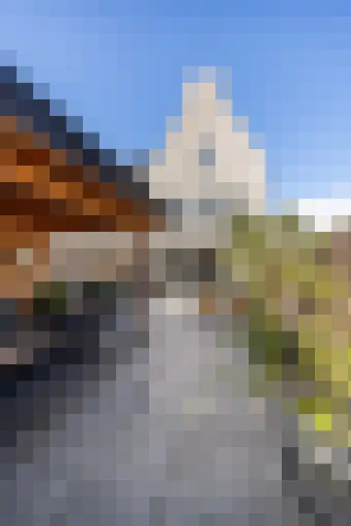 Adjudant 16 Gorinchem thumbnail 13