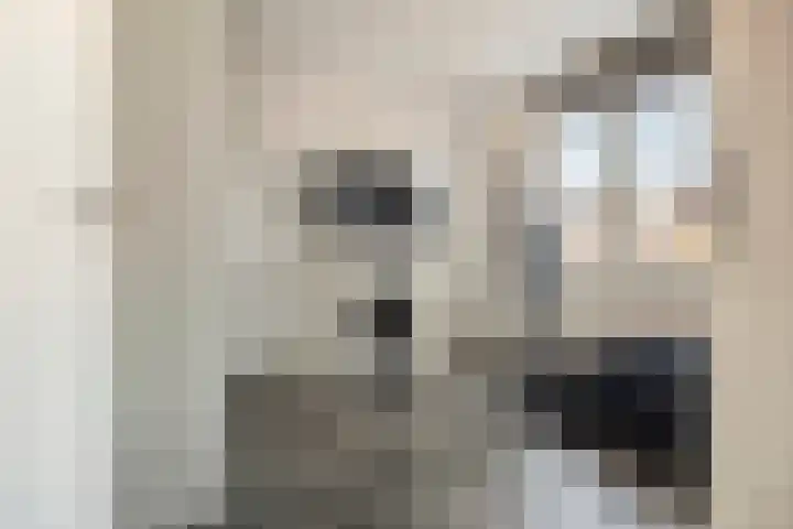 Adjudant 16 Gorinchem thumbnail 21