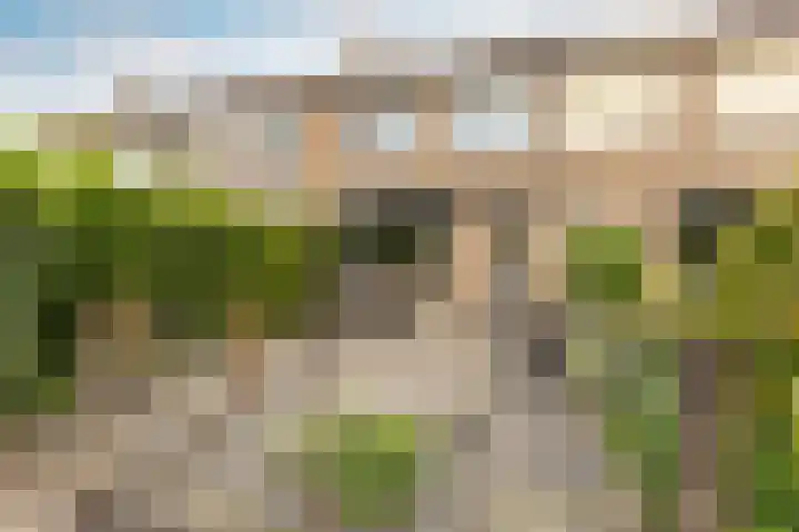 Adjudant 16 Gorinchem thumbnail 22