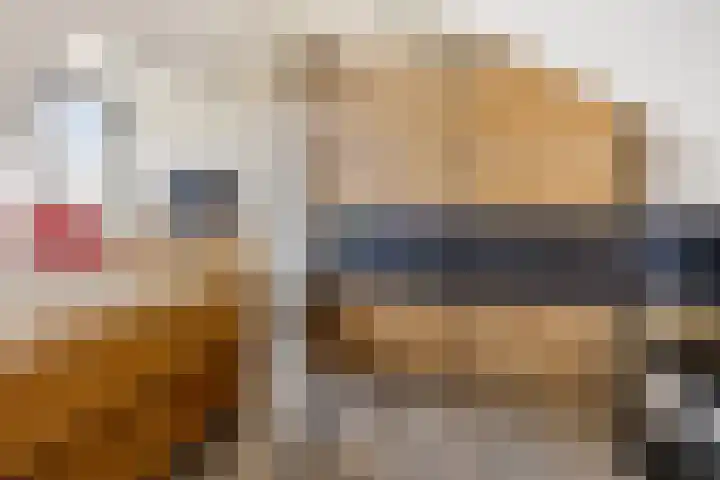 Adjudant 16 Gorinchem thumbnail 28