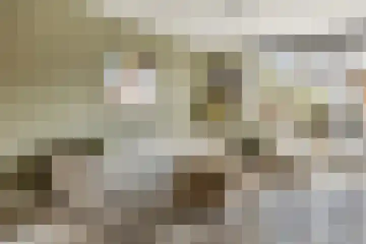 Adjudant 16 Gorinchem thumbnail 4