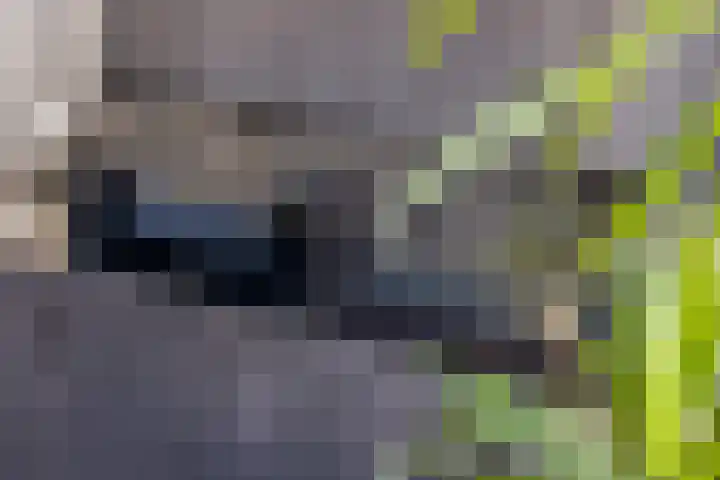 Adjudant 16 Gorinchem thumbnail 9