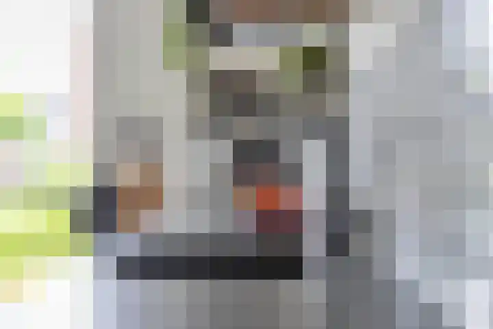 Adjudant 3 Gorinchem thumbnail 12