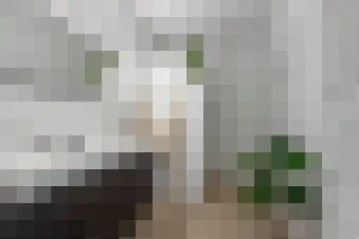 Adjudant 3 Gorinchem thumbnail 20