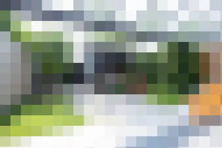 Adjudant 3 Gorinchem thumbnail 29