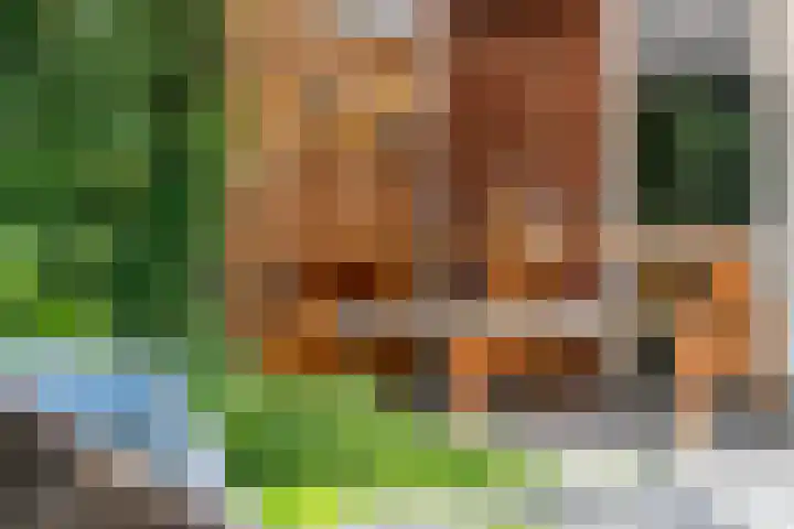 Adjudant 3 Gorinchem thumbnail 30