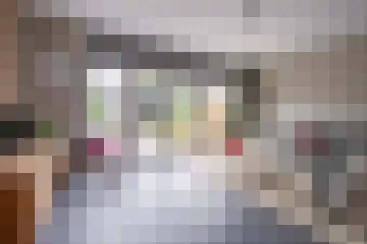 Adjudant 3 Gorinchem thumbnail 6