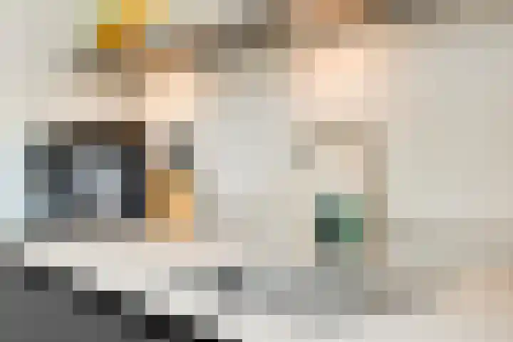 Admetuslaan 10 Eindhoven thumbnail 11