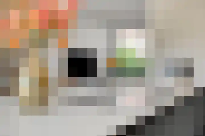 Admetuslaan 10 Eindhoven thumbnail 12