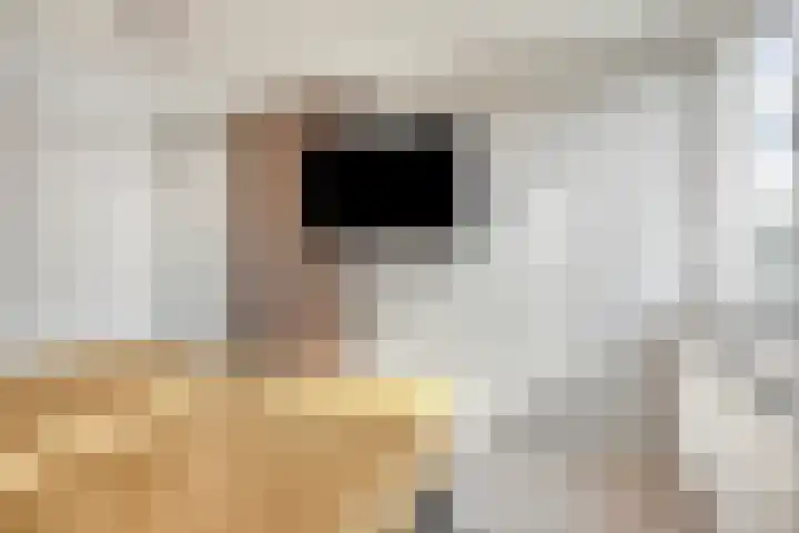 Admetuslaan 10 Eindhoven thumbnail 16