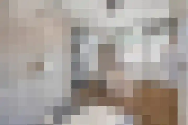 Admetuslaan 10 Eindhoven thumbnail 17