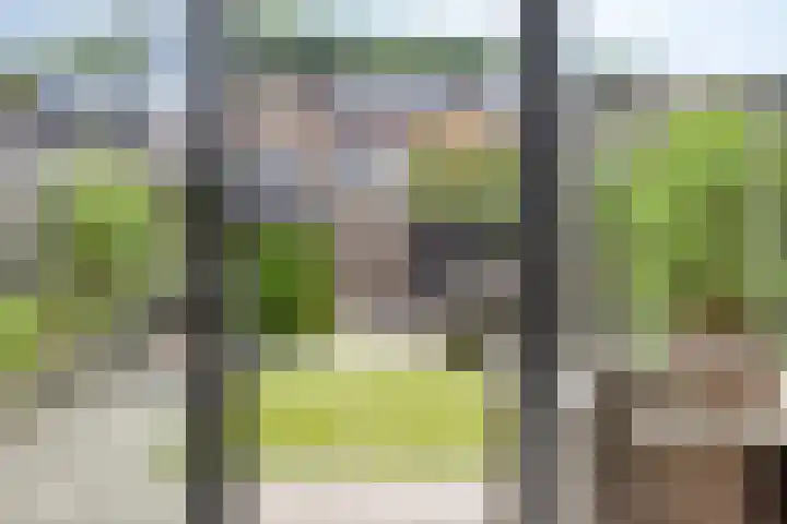 Admetuslaan 10 Eindhoven thumbnail 25