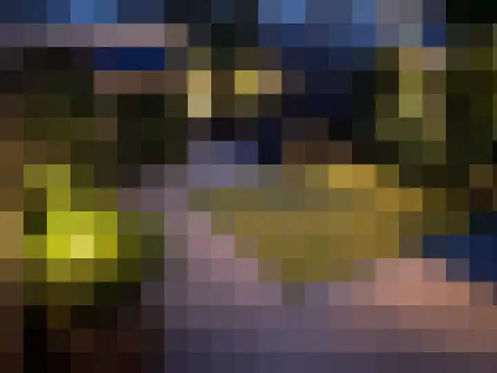 Admetuslaan 10 Eindhoven thumbnail 28