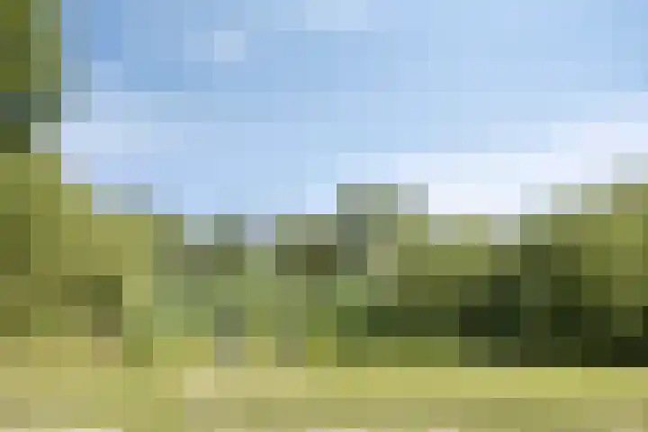 Admetuslaan 10 Eindhoven thumbnail 31