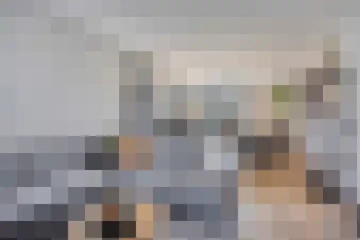 Admetuslaan 10 Eindhoven thumbnail 6