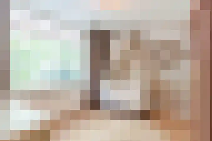 Admiraal Byrdstraat 16 Geldrop thumbnail 25