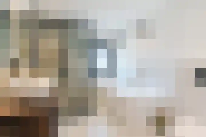 Admiraal Byrdstraat 16 Geldrop thumbnail 27