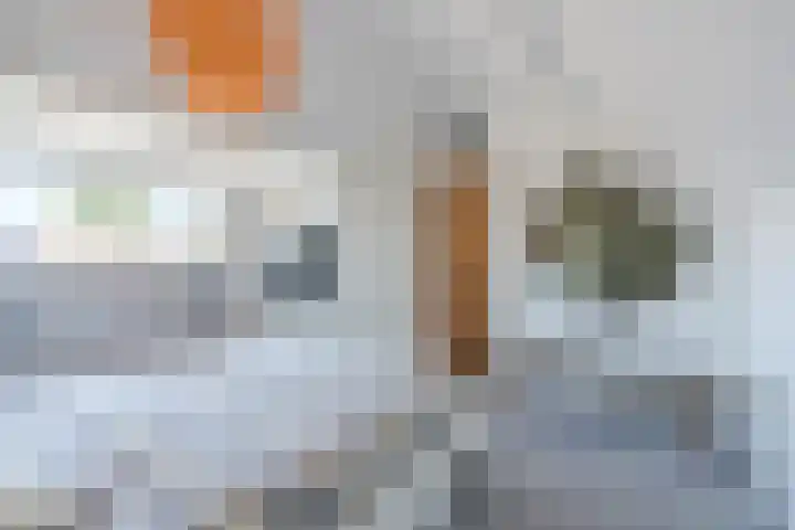 Admiraal Byrdstraat 16 Geldrop thumbnail 31