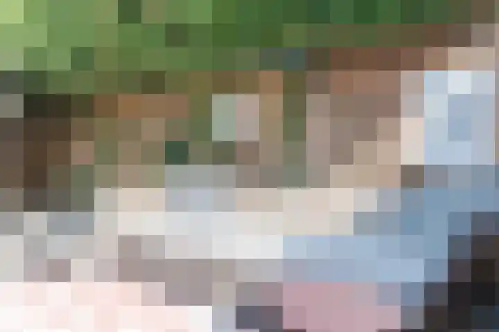 Admiraal Byrdstraat 16 Geldrop thumbnail 34