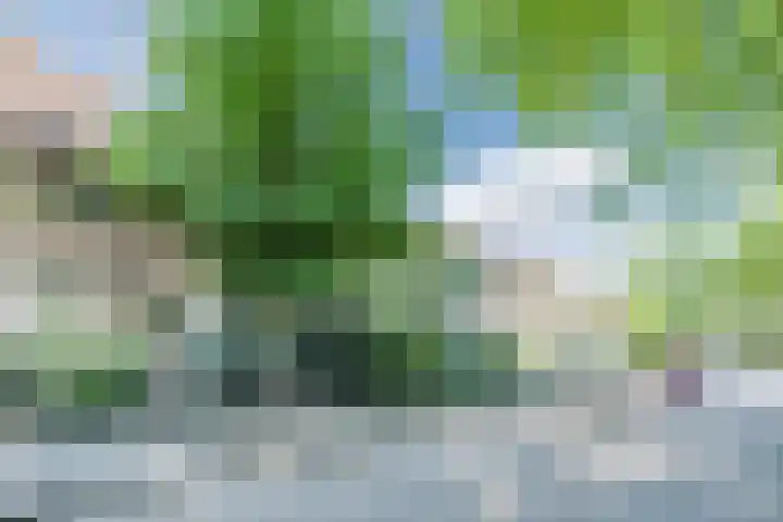Admiraal Byrdstraat 16 Geldrop thumbnail 38