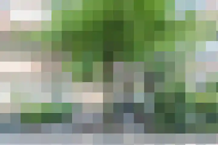 Admiraal Byrdstraat 16 Geldrop thumbnail 4