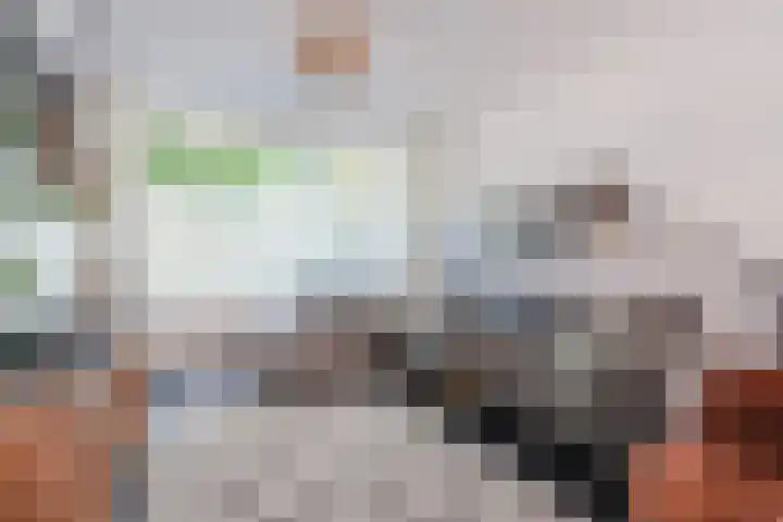 Admiraal Byrdstraat 16 Geldrop thumbnail 8