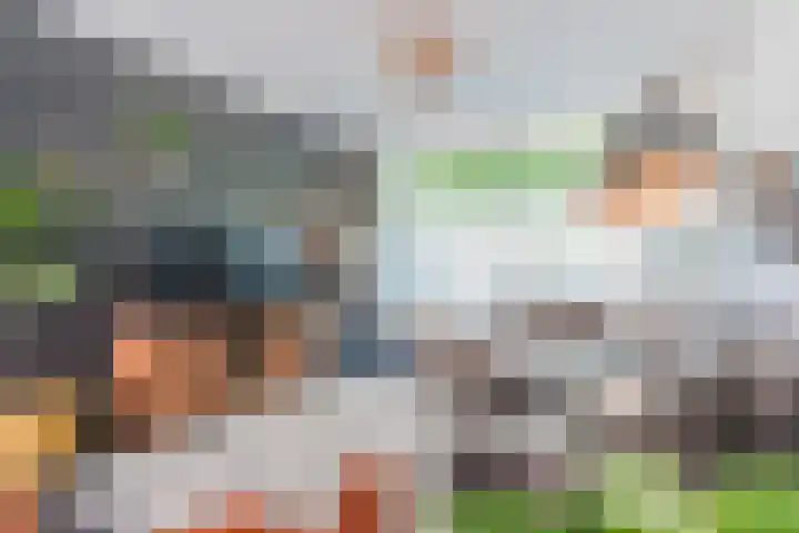 Admiraal Byrdstraat 16 Geldrop thumbnail 9