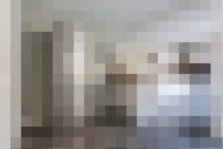 Admiraal Byrdstraat 22 Geldrop thumbnail 12