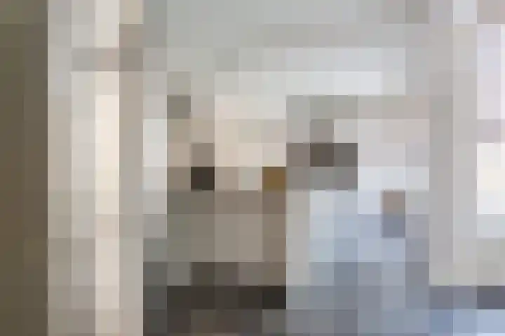 Admiraal Byrdstraat 22 Geldrop thumbnail 13